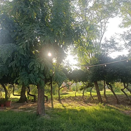 Apartament Casa Tobira - Panoramico In Collina Vicino Al Mare